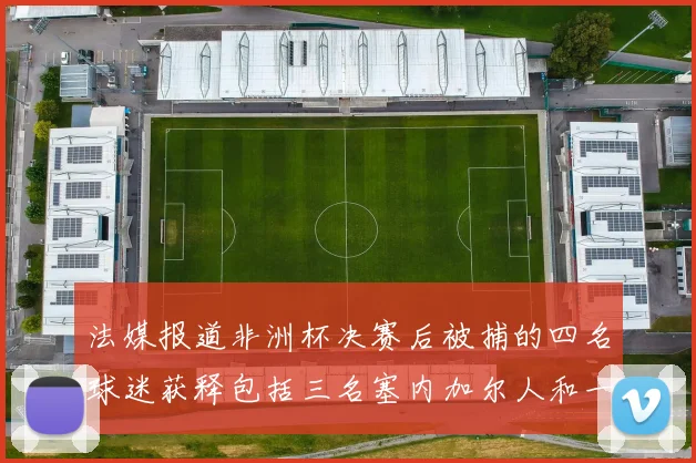 法媒报道非洲杯决赛后被捕的四名球迷获释包括三名塞内加尔人和一名法国人