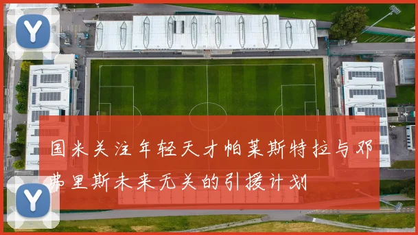 国米关注年轻天才帕莱斯特拉与邓弗里斯未来无关的引援计划
